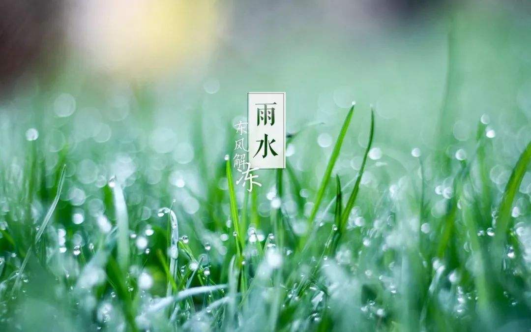 二十四节气丨雨水