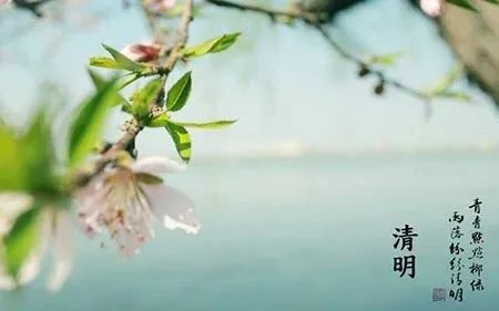 我们的节日丨清明节--唐山科技馆邀你来场科普踏青之旅