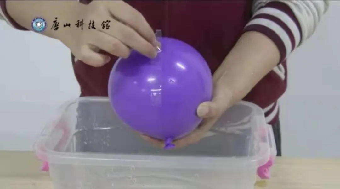 03.webp